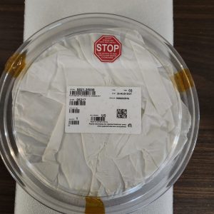Applied Materials 0021-35008 Reflector Plate 200MM XE Chamber RTP
