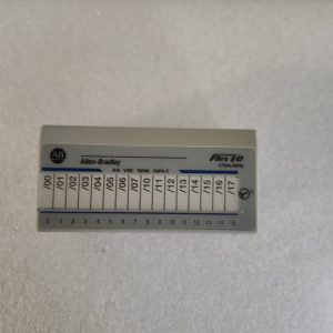 1794-IB16 Allen-Bradley Flex 16 Point Digital Output Module 1794IB16