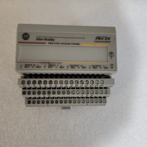 Allen-Bradley 1794-IF2X0F21 Flex I/O Isolated Analog Combo