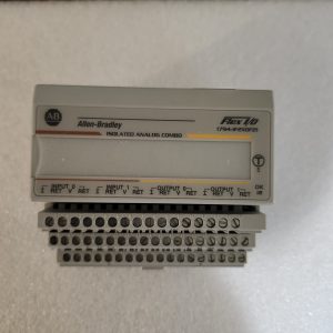 Allen Bradley 1794-IF2X0F21 Flex I/O Isolated Analog Combo