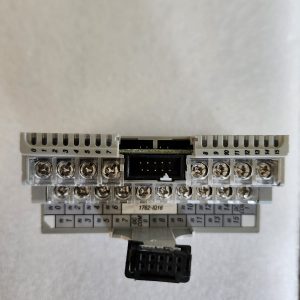 Allen Bradley 1762-IQ16 Ser A Rev B, 16 pt Sink/Source Input